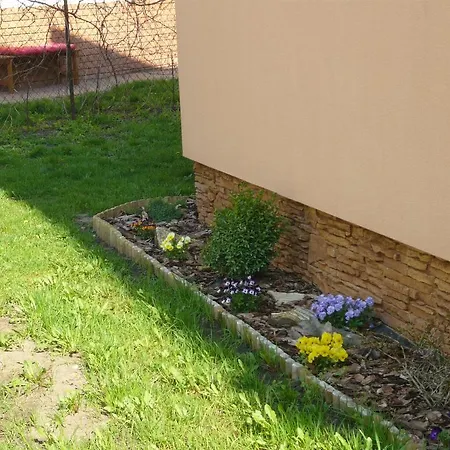 Negga Apartman Apartment *